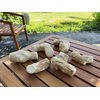 VINPETWORLD Dog Chew Toy - Boost Your Dog's Chewing Joy with This Safe, Natural Stick from Real Coffee Wood, Perfect for Your Joyful Four-Legged Friend - Size Medium (Pack of 2)