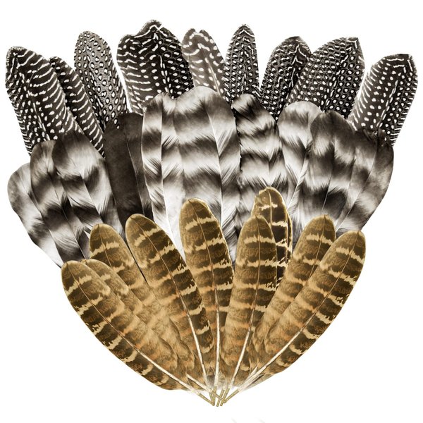 30Pcs Natural Turkey Feathers, 5.3-7 Inch Craft Feathers Pheasant for Hats, 3 Style Mixed Natural Feathers for Carnival Costume Feather Mask Wedding Party Decoration Flower Arrangement