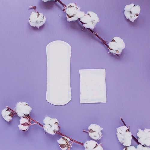 Natracare Dry & Light, Slim, Natural and Absorbent Pads with Organic Cotton Cover for Light Urinary Incontinence (1 Pack, 20 Pads Total)