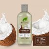 Organic Doctor Organic Virgin Coconut Oil Shampoo, 9 fl.oz.