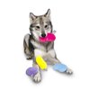 Midlee Jelly Bean Easter Dog Toy- Set of 4 (Small)
