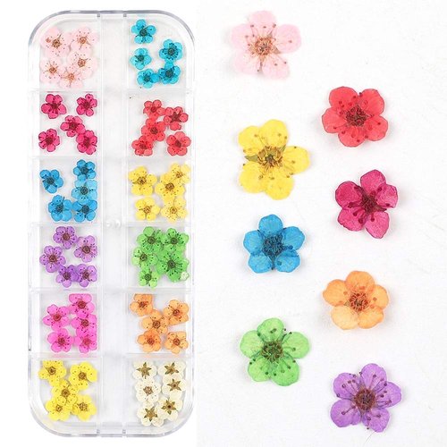 Dried Flowers for Nail Art CHANGAR Mini Real Natural Dry Flowers Sticker Decals Small Tiny Dried ...
