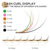 LASHVIEW Eyelash Extensions,Individual Lashes,Premium Single &Classic Lashes,0.15 Thickness C Curl 12mm,Natural Semi Permanent Eyelashes, Lashes,Soft Application-Friendly