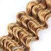 Habiliana Deep Curly Braiding Human Hair 100g 20 Inch Color 27 Honey Blonde Deep Water Wave Bulk Human Hair for Braiding No Weft Brazilian Virgin Deep Curly Human Hair Extensions for Boho Braids