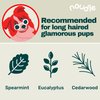 Noudle Pets - Revitalizing 2-1 Shampoudle, 16oz, Moisturizing and Gentle All Natural pet Shampoo with Spearmint, Cedarwood, Eucalyptus, and Oatmeal