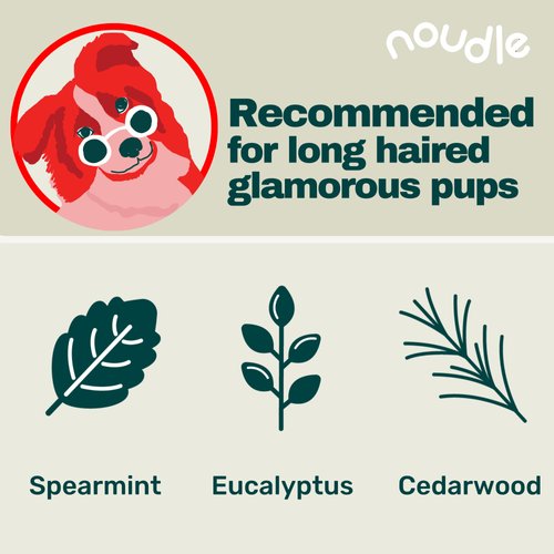 Noudle Pets - Revitalizing 2-1 Shampoudle, 16oz, Moisturizing and Gentle All Natural pet Shampoo with Spearmint, Cedarwood, Eucalyptus, and Oatmeal