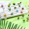 25 Pieces Dollhouse Potted Plants Miniature Artificial Plant Tiny Bonsai Model Mini Flowerpot Fake Succulent Doll House Mini Plant Model Figure for 1:12 Dollhouse Decor Mini Garden (Fresh Style)