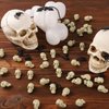 OZIO 150Pcs Halloween Mini Plastic Skull Heads, Miniature Figurines Skulls Heads Ornamets Halloween Decorations for DIY Halloween Crafts Home Prank Props Party Favors