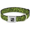 Buckle-Down Seatbelt Buckle Dog Collar - Cheebra Green/Black - 1.5" Wide - Fits 13-18" Neck - Small