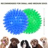 petizer 3 Pack 2.5” Squeaky Dog Toy Balls, Floating Dog Pool Balls, Spiky Dog Balls Water Toys, Durable Interactive Fetch Toys for Puppy, Dog Chew Toys for Teething (2.5", Small Dog)