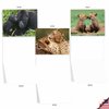The Best Card Company - 10 Adorable Note Cards Blank (4 x 5.12 Inch) - Wildlife and Animal Cards, Assorted Boxed Kids Set - Animal Smackers M6594OCB