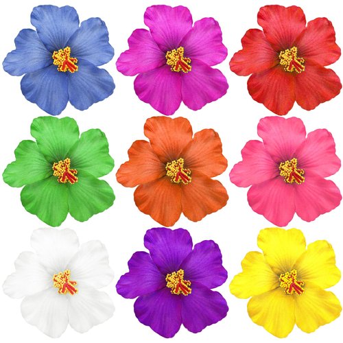 9 PCS Hawaiian Plumeria Flower Hair Clips, Hibiscus Hair Clip Beach Hair Clips Artificial Flower ...