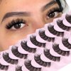 Losha Eyelashes DD Curl Russian Strip Lashes Wispy False Eyelashes that Like Lash Extensions 10 Pairs Soft Fake Lashes Pack (D03)