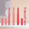 3 Colors Matt Nude Lipstick Lipliner Lip Crayons Pack Set,Velvet Moisture Smooth Matte Lipstick Pencils,Waterproof&Waterlasting,04#05#06#