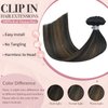 HUAYI Clip in Human Hair Extensions Ombre Natural Black to Chestnut Brown Highlight Black 120g Thicken Double Weft Brazilian Hair Full Head Silky Straight 14 Inch(14in 7pcs 120g)