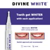 Divine White Snow Teeth Whitening Gel Pen with Brush Tip Applicator Includes 36% Carbamide Peroxide | Compact Design, Travel Friendly, Beautiful White Smile, Oral Care Teeth Whitening Pen, Pack of 3