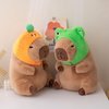 Ditucu Cute Capybara Plush Pillow with Wearable Frog Hat Stuffed Animals Capibara Plushies Toys Gifts for Kids 11 inch