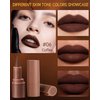 2 in 1 Lip Liner Lipstick,Coffee Nude Brown Lip Liner Lip Gloss,Velvet Matte Sharpened Head Lip Tint Stain,Long Lasting Waterproof,Highly Pigmented Non-sticky Tinted Lip Balm,Lip Makeup for Women-06