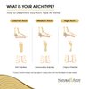 Natural Foot Orthotics. Podiatrist Designed for High Arches. Recommended for Plantar Fasciitis, Heel Spurs, Bunions, Neuromas, & Hammertoes. Made in USA. Original Stabilizer Arch Support Shoe Insoles