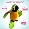 9'' Cute Talking Parrot Repeats What You Say Electronic Interactive Plush Toy Stuffed Animal Record Parrot Waving Wings Funny Bird Toys for Children Girls Boys Best Xmas Gift (Green Parrot)