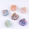 Fantasy Sea Shell Hair Clip,Acetate Hair Clip,Small Claw Clip for Women,Pink, 1 Count (Pack of 1)