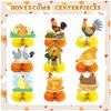9 PCS Chicken Honeycomb Centerpieces Table Decorations Chicken Table Centerpieces for Chicken Party Supplies Chicken Birthday Party Decorations Farm Animals Decorations