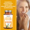 Organifi: Critical Immune - Superfood Immune Support Blend - 30 Capsules - Powerful Blend of Elderberry, Andrographis, Astragalus and Olive Leaf Extract - Rich in Vitamin C and Antioxidants