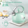 RETTBERG Tea Kettle for Stovetop Whistling Tea Kettles Modern Green Stainless Steel Teapots, 2.64 Quart (Mint Green)