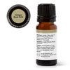 Plant Therapy Ginger Root CO2 Essential Oil 100% Pure, Undiluted, Natural Aromatherapy, Ginger Oil for Diffuser, Skin & Massage and Hair, Therapeutic Grade 10 mL (1/3 oz)