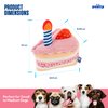 Birthday Cake Interactive Dog Toy - Interactive Pet Toy - Cute Unique Design Party Birthday Gift - Small Medium Dogs - Chew Resistant for Teething Puppy - Fun Plush Toy with Squeaker (Pink)