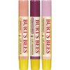 Burt's Bees Kissable Color Holiday Gift Set, 3 Lip Shimmers in Gift Box - Cool Collection in Watermelon, Apricot and Grapefruit