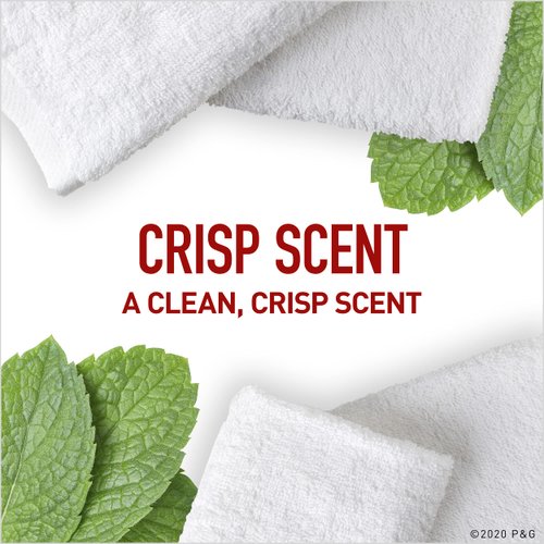 Old Spice High Endurance Hair + Body Wash for Men, Crisp Scent, 18 fl oz