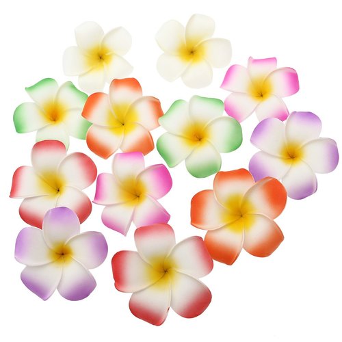 FRCOLOR 12 Pieces 3.5 Inch Hawaiian Plumeria Flower Hair Clips Foam Women Ladies Hair Accessories for Beach Party Wedding Event Decoration