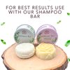 Hair Conditioner Bar For Women and Men | Unscented Softening Moisturizing Plant-Based | Shea Butter, Coconut Oil, Cocoa Butter, Jojoba Oil, Argan Oil - Handmade in USA