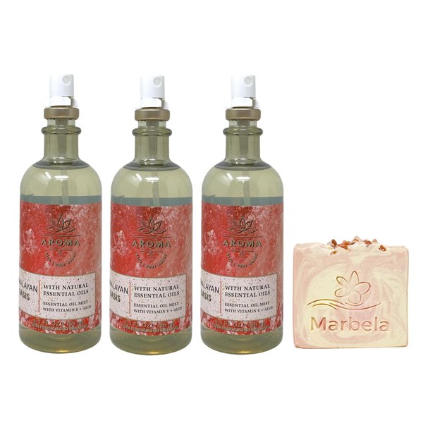 Bath & Body Works Aroma Himalayan Oasis 3 Pack Essential Oil Mist Value Pack with a Himalayan Salts Springs Bar Soap - Full Size