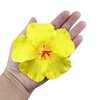 Aacehlh 6pcs Hawaiian Flower Hair Clips,3.94 Inch Plumeria Hair Clips Hibiscus Hair Barrettes for Hawaii Tropical Party Decorations, Luau Party Supplies favors, Bridal Wedding