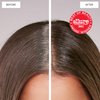 dpHUE Root Touch-Up Kit, Light Brown - Permanent Hair Color for Gray Coverage - Includes Two Applications - Paraben, SLS & SLES Sulfate Free - Leaping Bunny Certified
