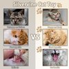 Biunnru Silvervine Cat Toy for Dental Care, Chewing, and Interactive Play Teeth Cleaning and Fresh Breath Toy for Indoor Outdoor Cats (3Pcs)