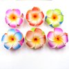 10 Pcs Colorful Hawaii Plumeria Flower Clips Hawaiian Flower Hair Barrettes Beach Party Hair Clips Artificial Tropical Flower Hairpins for Wedding Hair Clips