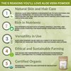 Organic Aloe Vera Powder for Skin & Hair – 16 oz. - Aloe Barbadensis - Nourishing Face Mask for Natural Beauty, USDA Certified Organic & Non-GMO