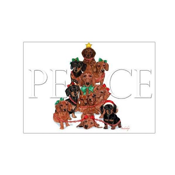 Dachshund Christmas Cards Peace : 10 Holiday Cards with Envelopes