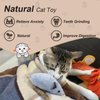 Andiker 3PCS Catnip Toys for Cats, Realistic Cat Mouse Toys with Silvervine Soft Plush Fabric Bite-Resistant Interactive Cat Toys for Indoor Cats Kittens to Bite Chew Teeth Cleaning