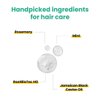 Anveya Rosemary Mint Hair Oil | For Hair Growth, Hair fall and Dandruff Control | Smoothens Dry Scalp & Split Ends | Suitable for both Men and Women | 50ml