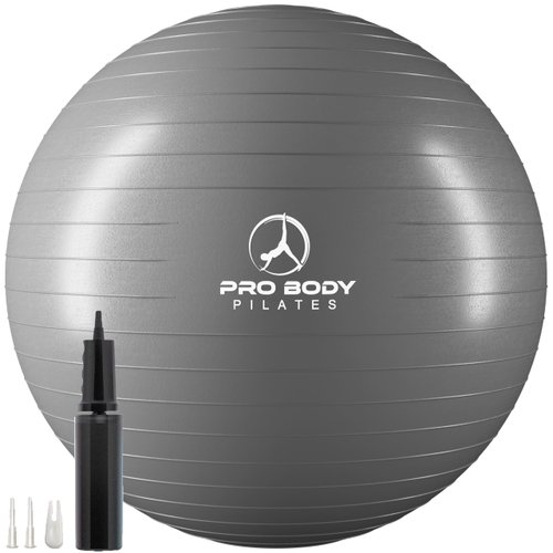 ProBody Pilates Ball Exercise Ball Yoga Ball, Multiple Sizes Stability Ball Chair, Gym Grade Birthing Ball for Pregnancy, Fitness, Balance, Workout and Physical Therapy (Silver, 55cm)