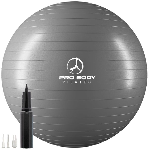 ProBody Pilates Ball Exercise Ball Yoga Ball, Multiple Sizes Stability Ball Chair, Gym Grade Birthing Ball for Pregnancy, Fitness, Balance, Workout and Physical Therapy (Silver, 55cm)