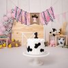 ZAIBIANHAO Cowgirl One High Chair Banner - Rodeo Theme Fabric Garland，Farm Birthday Highchair Banner，Western Cow Girl First Birthday Decorations Party Supplies (cow pink banner)