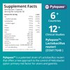 purmeo 5 in 1 High Potency H. Pylori Treatment Probiotics - Gastritis Support - 1 Per Day - Pylopass Lactobacillus Reuteri DSM17648 - No Refrigeration Needed - Made in Germany