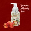 Primal Elements Nourishing Foaming Hand Soap, Gentle Hand Wash for Softer and Cleaner Hands, Washes Away Dirt – 9.5 FL OZ (Honeycrisp, 1-Pack)