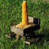 BalterFF Squirrel Feeder for Outside Yard Games Funny Peanuts in Shell for Squirrel Picnic Table House Garden Decor Chipmunk Bench Corn Cobs Holder Chipmunk Squirrel Gifts for Squirrel Lovers Wooden