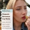 Moon Valley Organics Beeswax Lip Balm for Moisturizing Lips and Cuticles (COOL MINT VANILLA, 1-Pack)